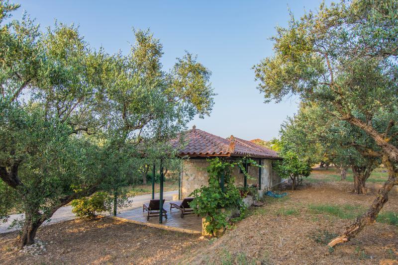 Porto Giardino Apartments Psarou  Exterior photo